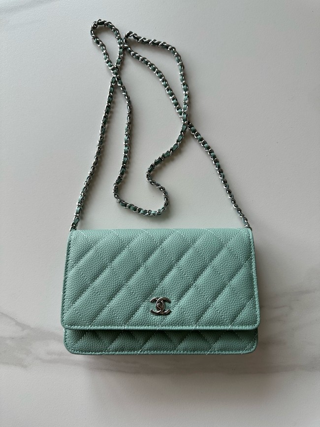 Chanel Classic Wallet On Chain Lambskin AP4241-4