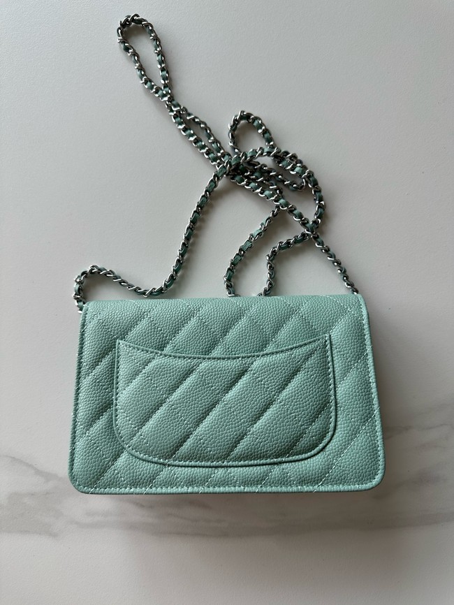 Chanel Classic Wallet On Chain Lambskin AP4241-4