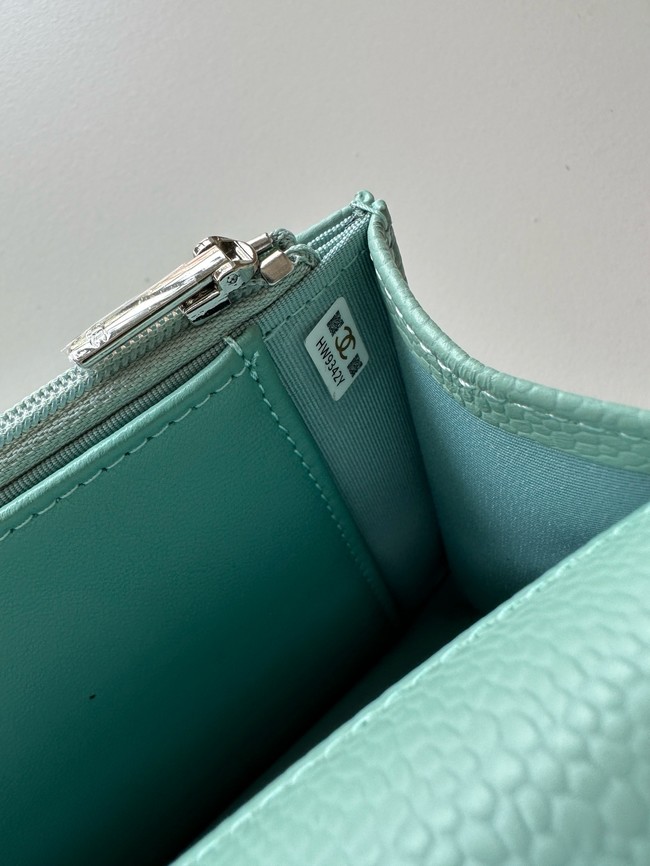 Chanel Classic Wallet On Chain Lambskin AP4241-4