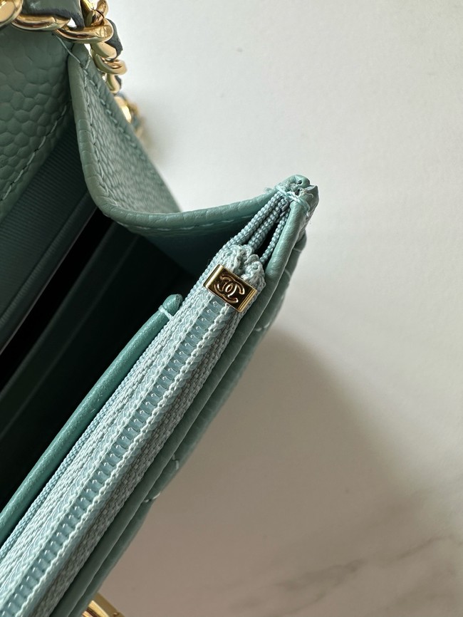 Chanel Classic Wallet On Chain Lambskin AP4241-5