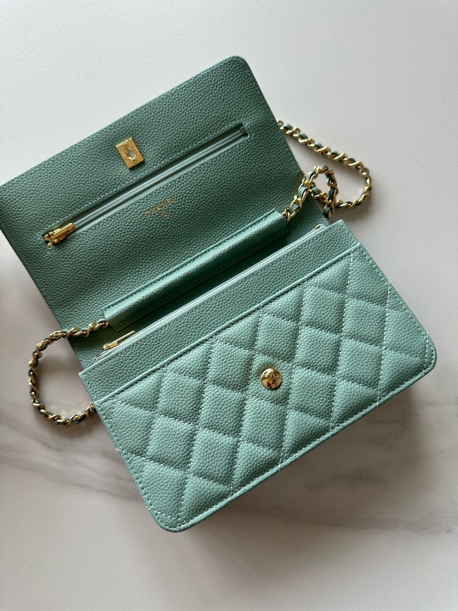 Chanel Classic Wallet On Chain Lambskin AP4241-5