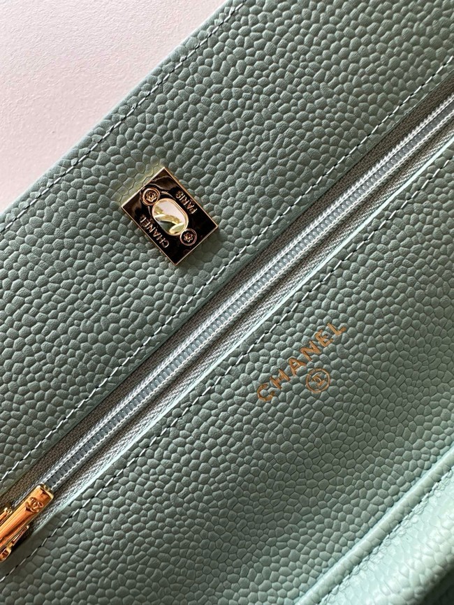 Chanel Classic Wallet On Chain Lambskin AP4241-5