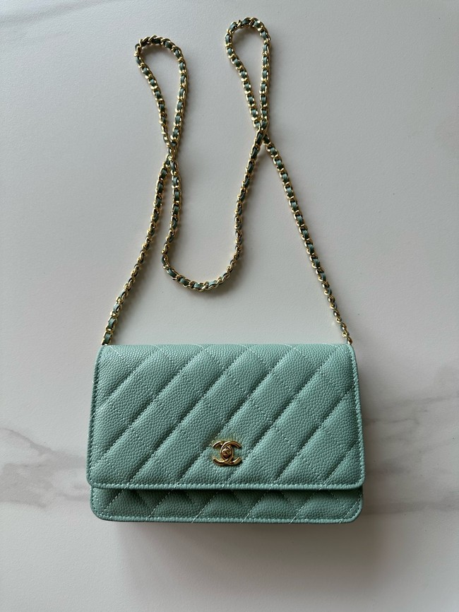 Chanel Classic Wallet On Chain Lambskin AP4241-5