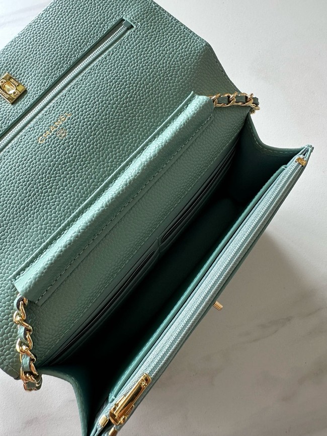 Chanel Classic Wallet On Chain Lambskin AP4241-5