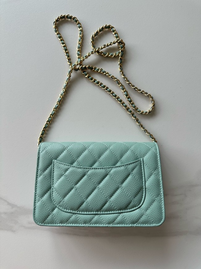Chanel Classic Wallet On Chain Lambskin AP4241-5