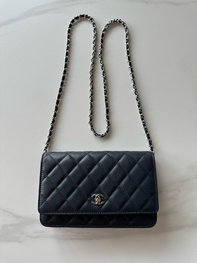 Chanel Classic Wallet On Chain Lambskin AP4241-6