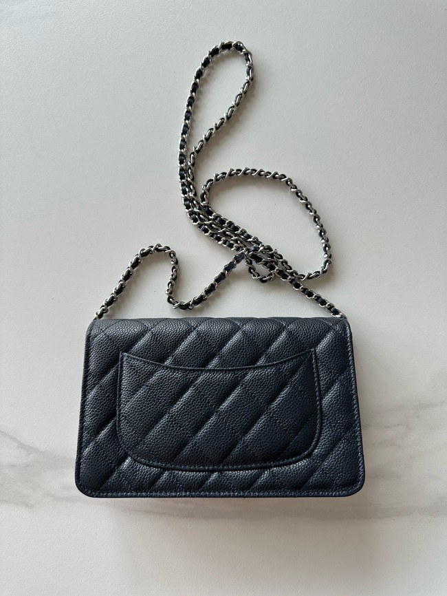 Chanel Classic Wallet On Chain Lambskin AP4241-6