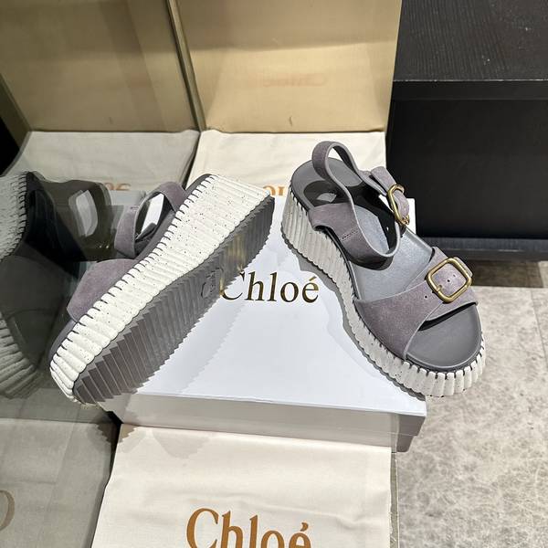 Chloe Shoes COS00018
