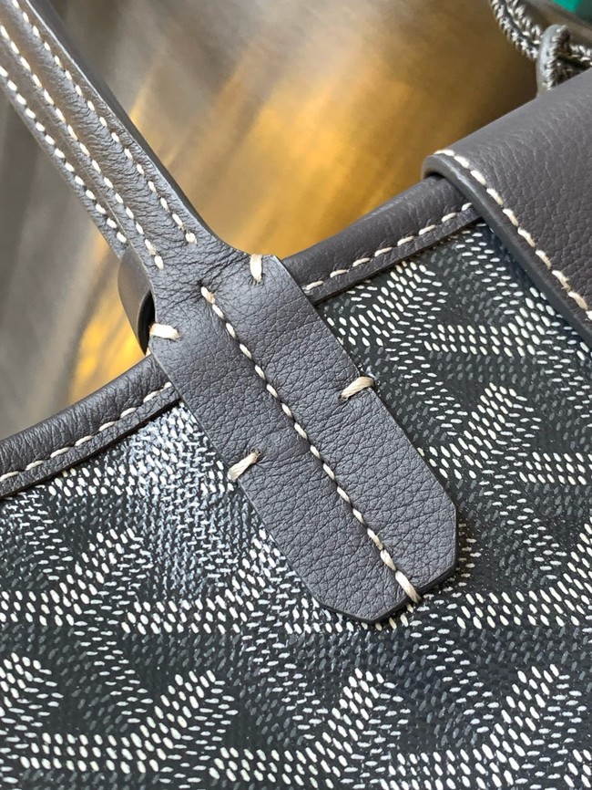 Goyard ANJOU mini bag TY50P gray