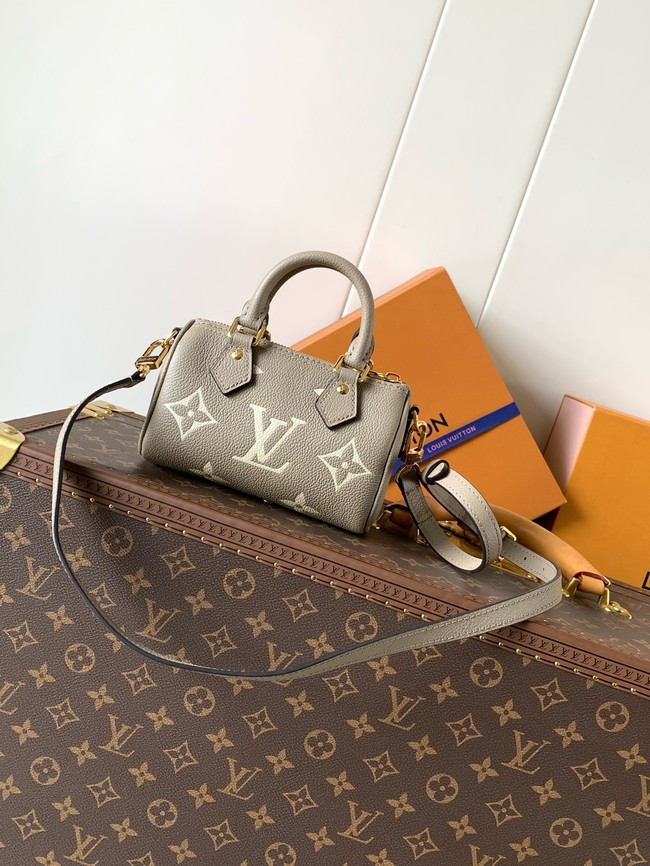 Louis Vuitton Nano Speedy M82450 gray