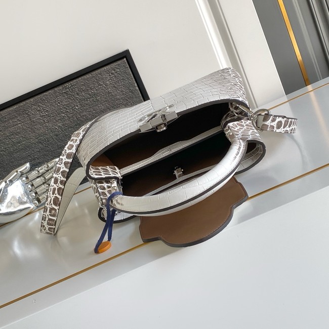 Louis Vuitton Capucines BB M88299 light gray