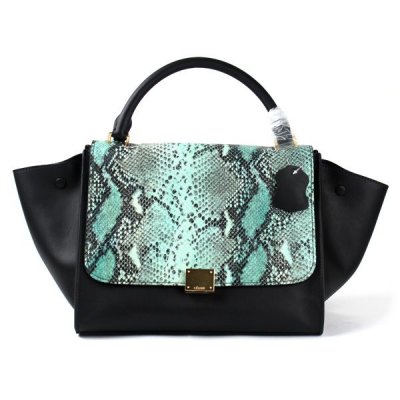 Celine Black Green Classic Snake Borsa in pelle modello