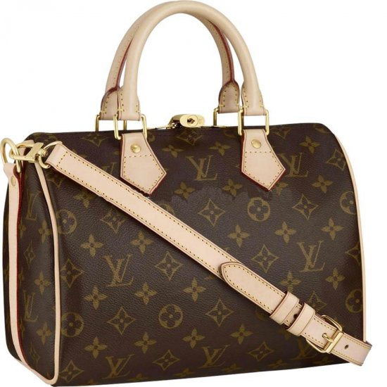 Louis Vuitton Tela Monogram Speedy 25 Con Tracolla Borse M40390