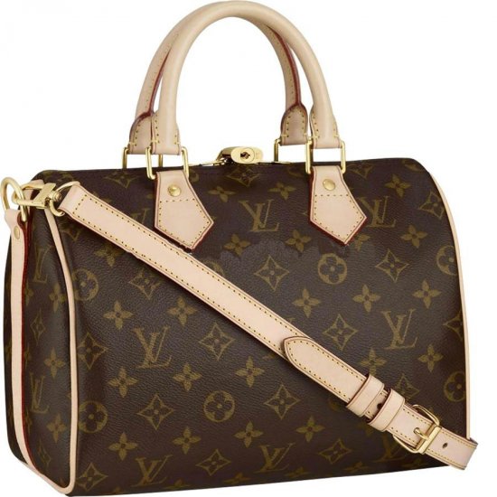 Louis Vuitton Tela Monogram Speedy 25 Con Tracolla Borse M40390